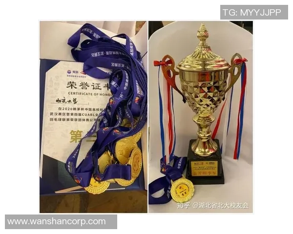 重庆羽毛球队实力提升引发热议新变革与未来发展探讨 重庆羽毛球队实力提升引发热议新变革与未来发展探讨