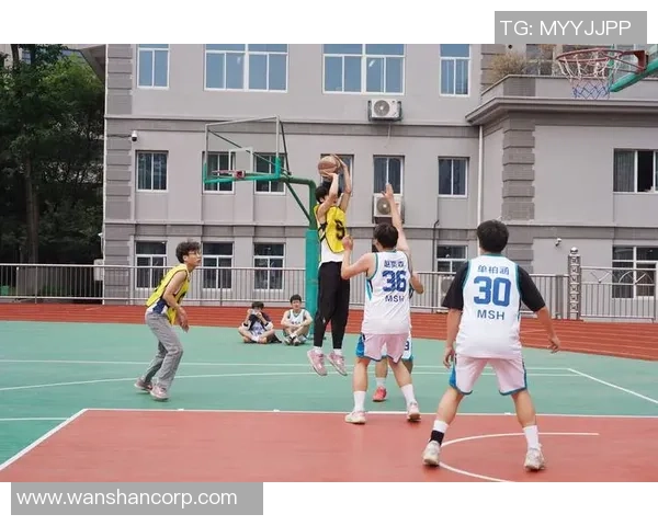 南京篮球队默契配合分析与战术探讨助力球队提升整体实力