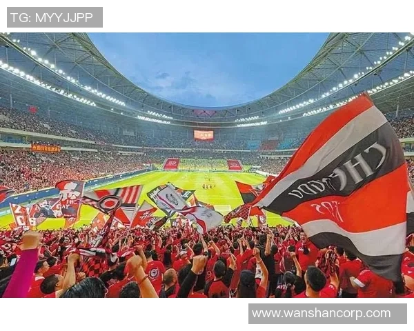 成都足球队个人能力引发热议球迷对球员表现的争论与期待