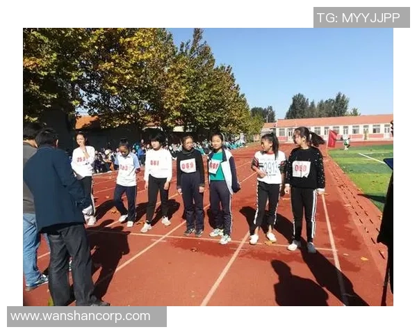 西安乒乓球队的奋进之路全运会背后的拼搏与荣耀