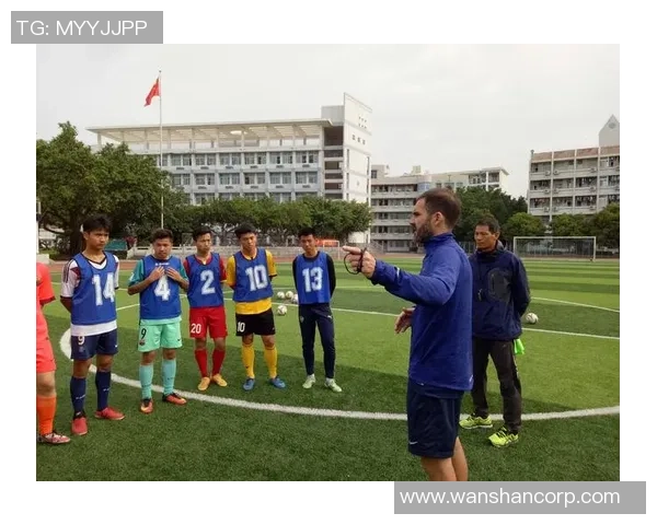 追风少年的足球梦想与成长之路：从校园到绿茵场的奋斗故事