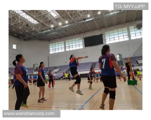 杭州排球队战术分析与表现评估全面解读锦标赛精彩瞬间 杭州排球队战术分析与表现评估全面解读锦标赛精彩瞬间