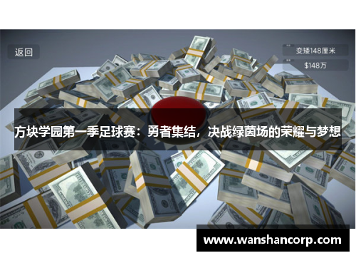 方块学园第一季足球赛：勇者集结，决战绿茵场的荣耀与梦想