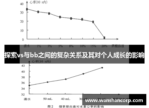 探索vs与bb之间的复杂关系及其对个人成长的影响