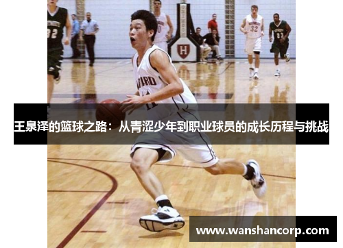 王泉泽的篮球之路：从青涩少年到职业球员的成长历程与挑战