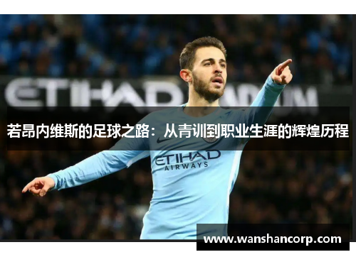 若昂内维斯的足球之路：从青训到职业生涯的辉煌历程