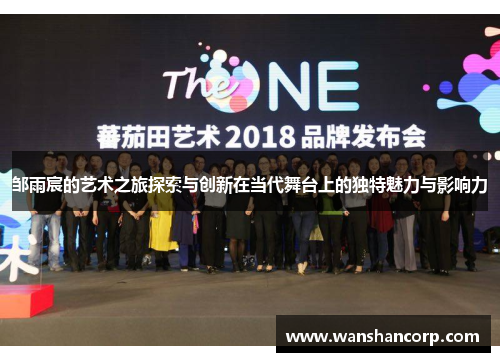 邹雨宸的艺术之旅探索与创新在当代舞台上的独特魅力与影响力